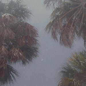 Meet your Posher, Sweetestlemon